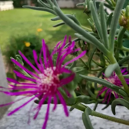 Apartamento Seven House